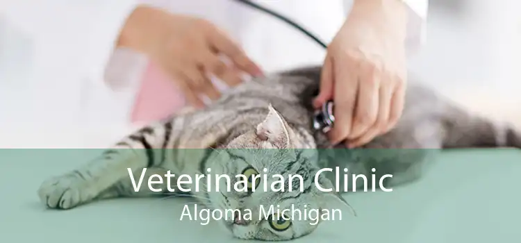 Veterinarian Clinic Algoma Michigan
