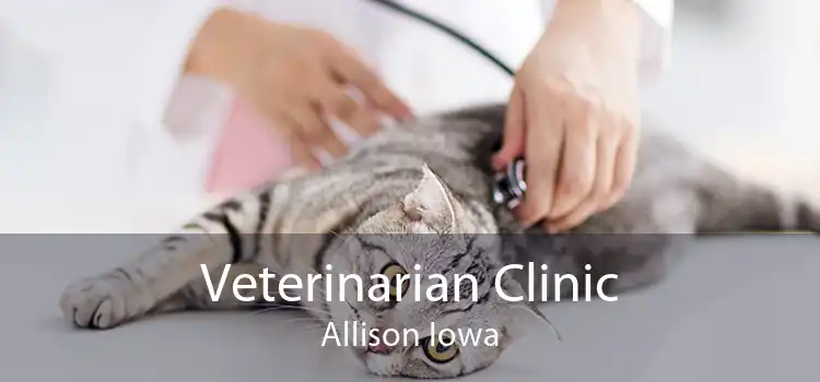 Veterinarian Clinic Allison Iowa