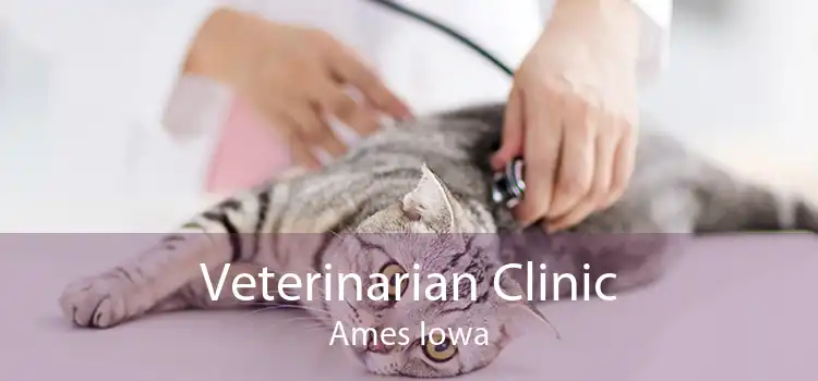 Veterinarian Clinic Ames Iowa
