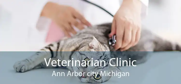 Veterinarian Clinic Ann Arbor city Michigan