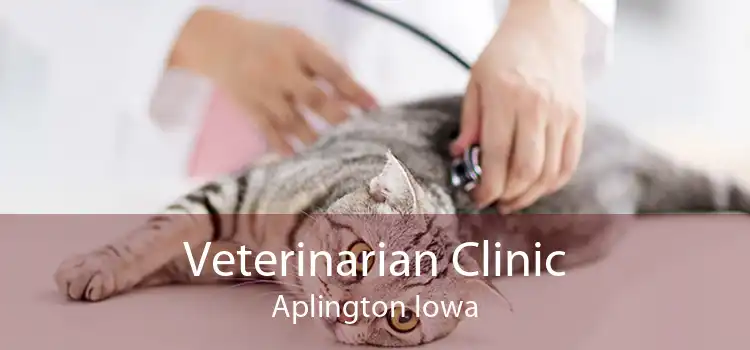 Veterinarian Clinic Aplington Iowa