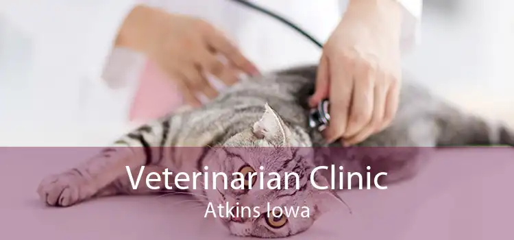 Veterinarian Clinic Atkins Iowa