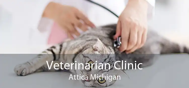 Veterinarian Clinic Attica Michigan