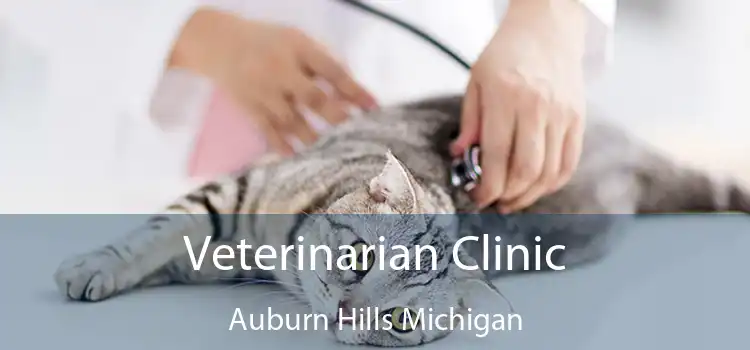 Veterinarian Clinic Auburn Hills Michigan