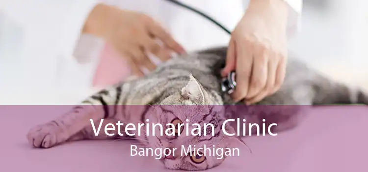 Veterinarian Clinic Bangor Michigan