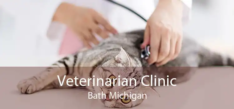 Veterinarian Clinic Bath Michigan