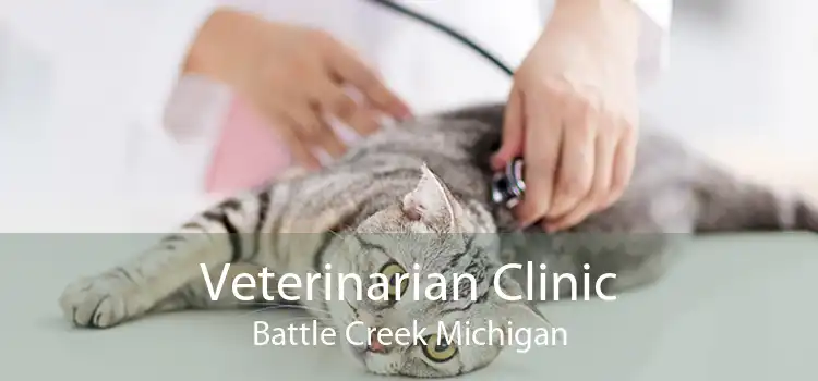 Veterinarian Clinic Battle Creek Michigan