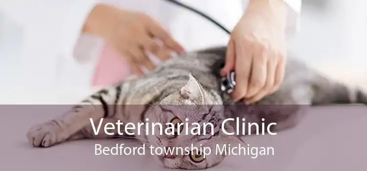 Veterinarian Clinic Bedford township Michigan