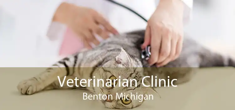 Veterinarian Clinic Benton Michigan