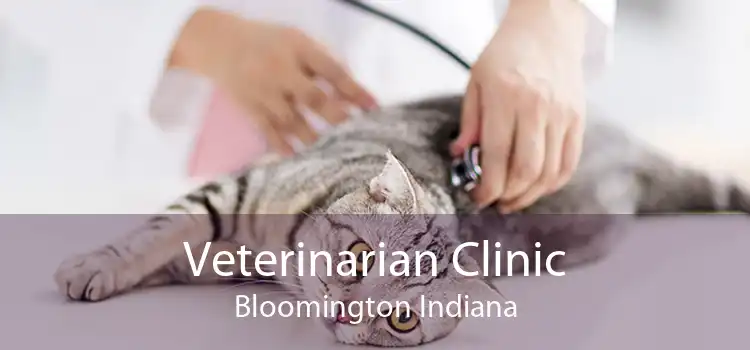 Veterinarian Clinic Bloomington Indiana