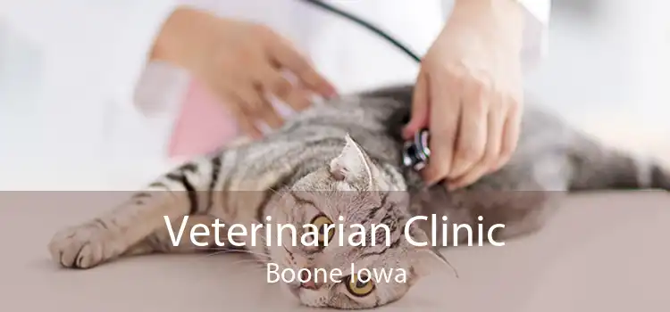 Veterinarian Clinic Boone Iowa