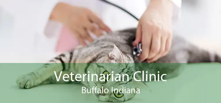 Veterinarian Clinic Buffalo Indiana
