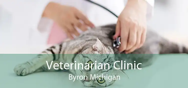 Veterinarian Clinic Byron Michigan