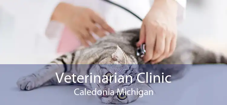 Veterinarian Clinic Caledonia Michigan