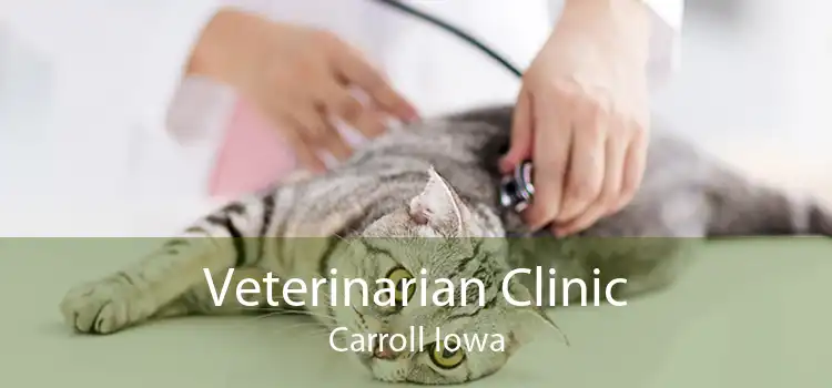 Veterinarian Clinic Carroll Iowa