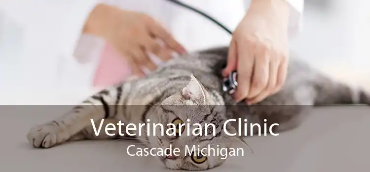 Veterinarian Clinic Cascade Michigan