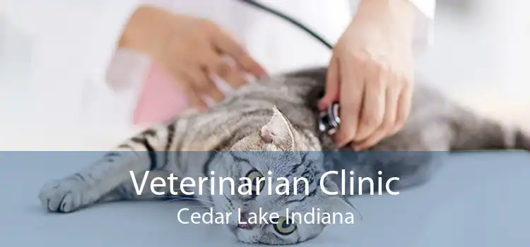 Veterinarian Clinic Cedar Lake Indiana