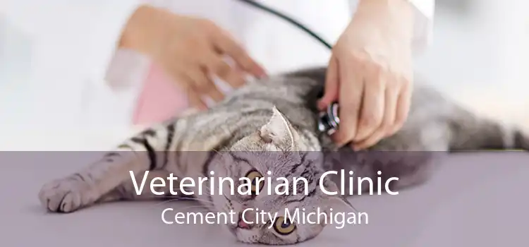 Veterinarian Clinic Cement City Michigan