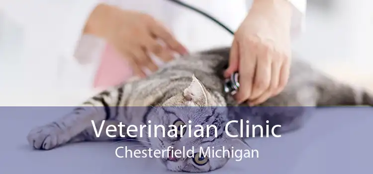 Veterinarian Clinic Chesterfield Michigan