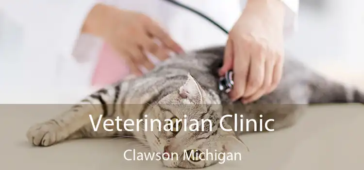 Veterinarian Clinic Clawson Michigan