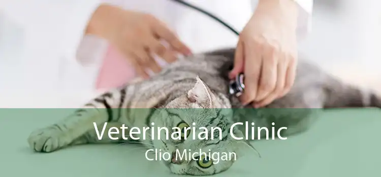 Veterinarian Clinic Clio Michigan