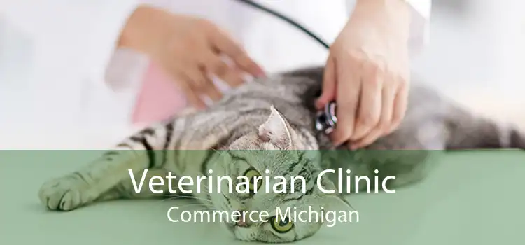Veterinarian Clinic Commerce Michigan