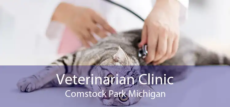 Veterinarian Clinic Comstock Park Michigan