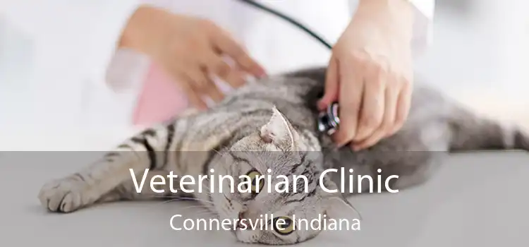 Veterinarian Clinic Connersville Indiana