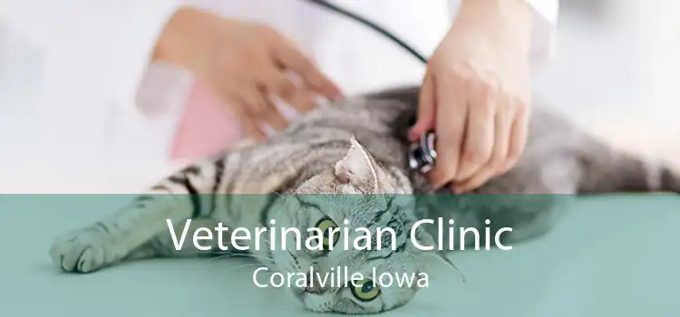 Veterinarian Clinic Coralville Iowa
