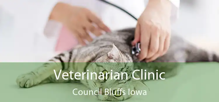 Veterinarian Clinic Council Bluffs Iowa