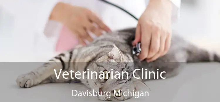 Veterinarian Clinic Davisburg Michigan