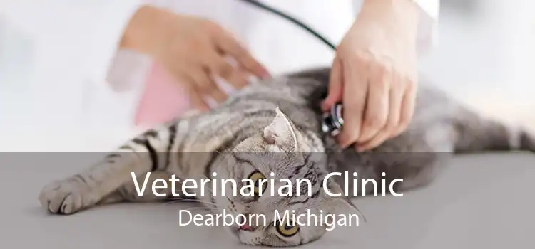 Veterinarian Clinic Dearborn Michigan