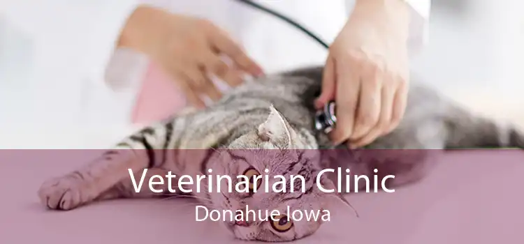 Veterinarian Clinic Donahue Iowa