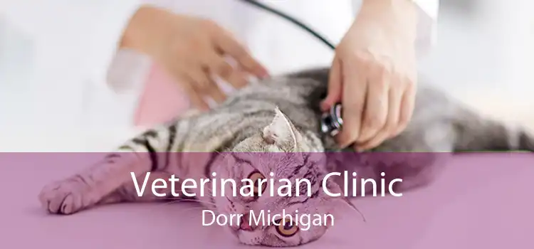Veterinarian Clinic Dorr Michigan