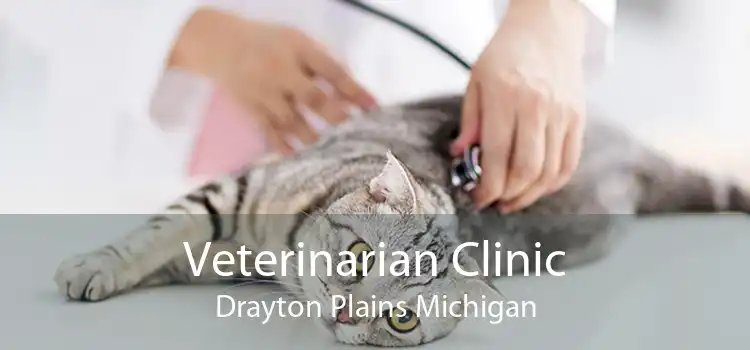 Veterinarian Clinic Drayton Plains Michigan