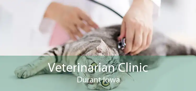 Veterinarian Clinic Durant Iowa