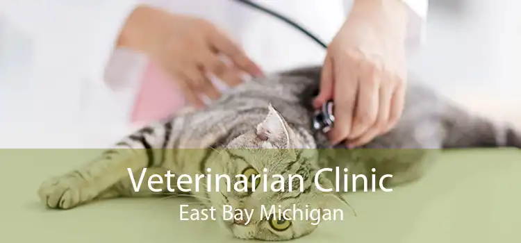 Veterinarian Clinic East Bay Michigan