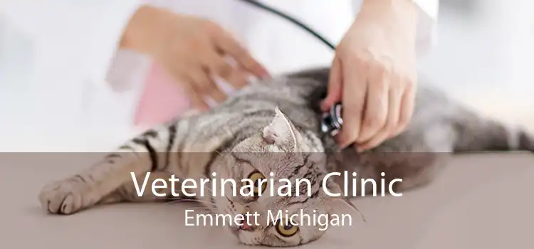 Veterinarian Clinic Emmett Michigan