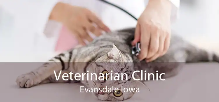 Veterinarian Clinic Evansdale Iowa