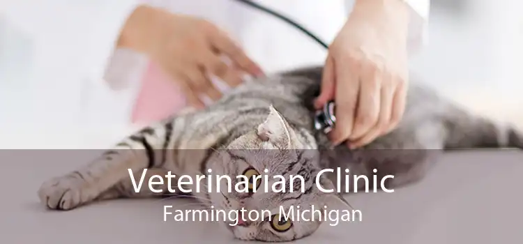 Veterinarian Clinic Farmington Michigan