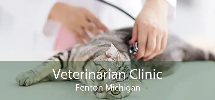 Veterinarian Clinic Fenton Michigan
