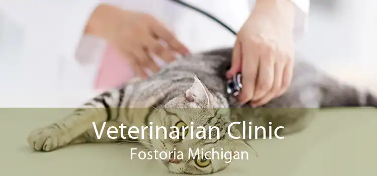 Veterinarian Clinic Fostoria Michigan