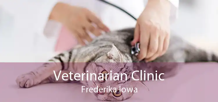 Veterinarian Clinic Frederika Iowa