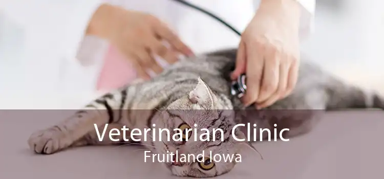 Veterinarian Clinic Fruitland Iowa