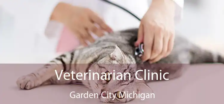 Veterinarian Clinic Garden City Michigan