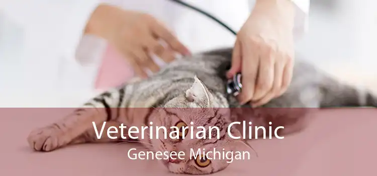 Veterinarian Clinic Genesee Michigan