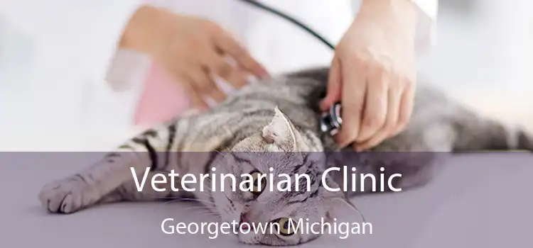 Veterinarian Clinic Georgetown Michigan