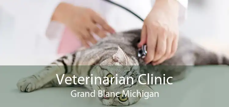 Veterinarian Clinic Grand Blanc Michigan