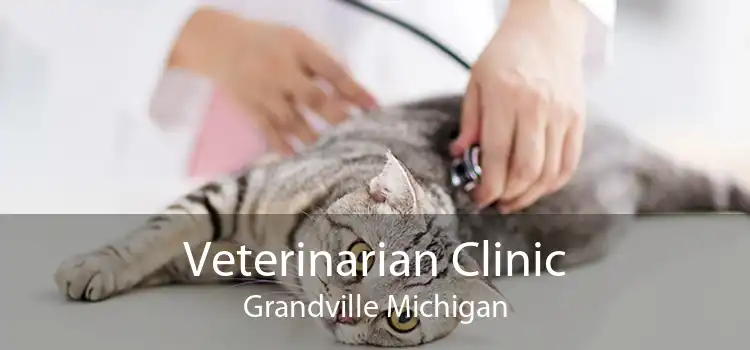 Veterinarian Clinic Grandville Michigan