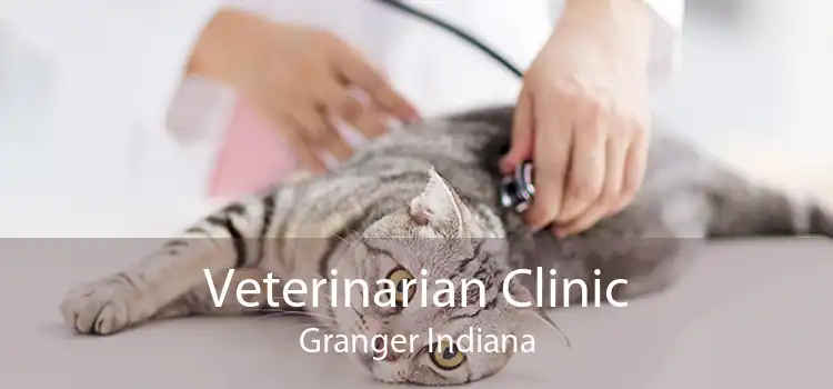 Veterinarian Clinic Granger Indiana
